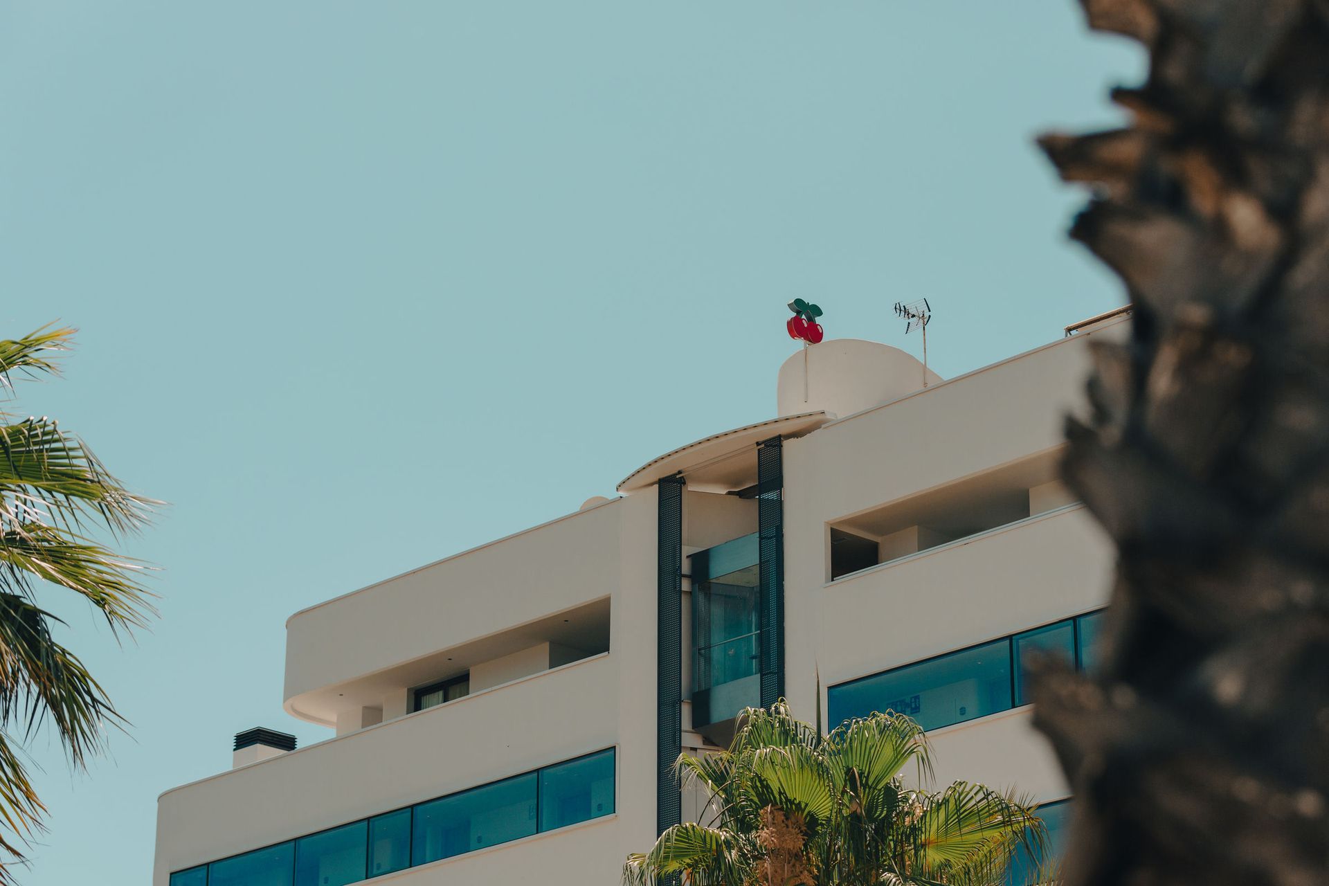 El Hotel Pacha, foto 6