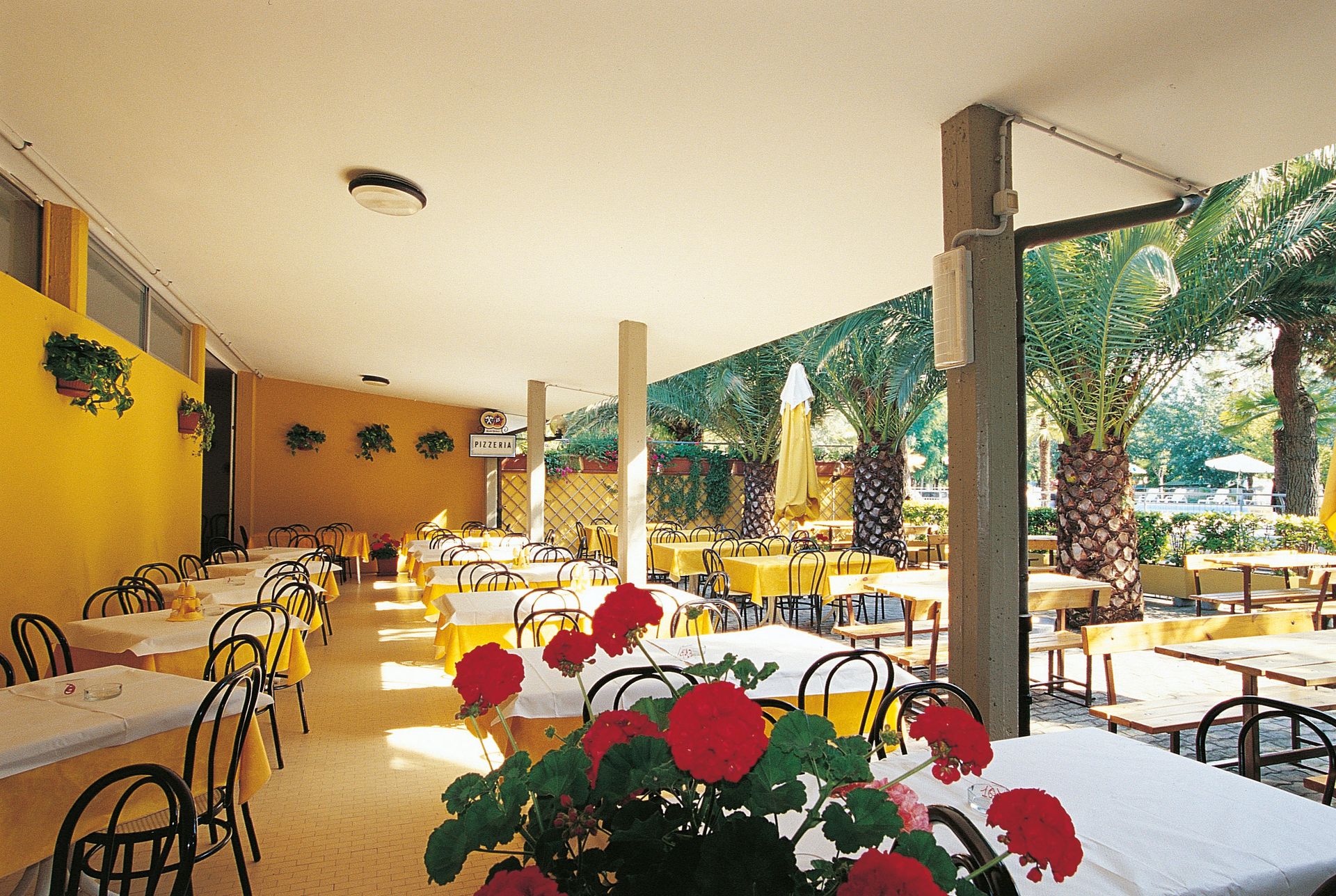 Club Del Sole Stork Family Collection, foto 3