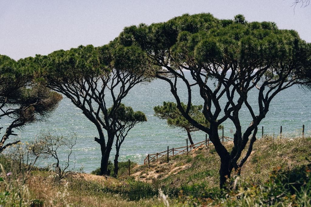 Masana Algarve, foto 13