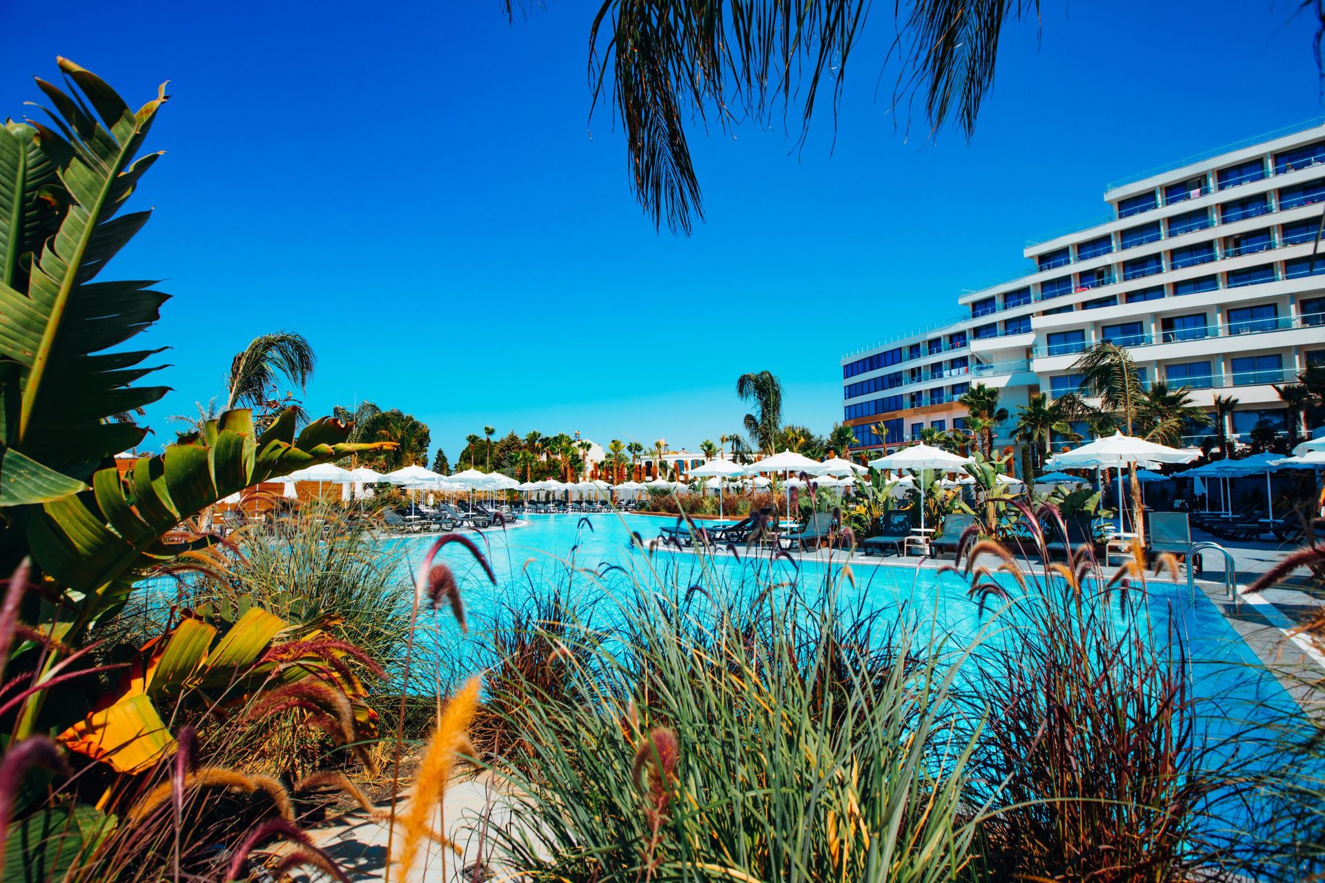 Alarcha Hotels & Resort, foto 8