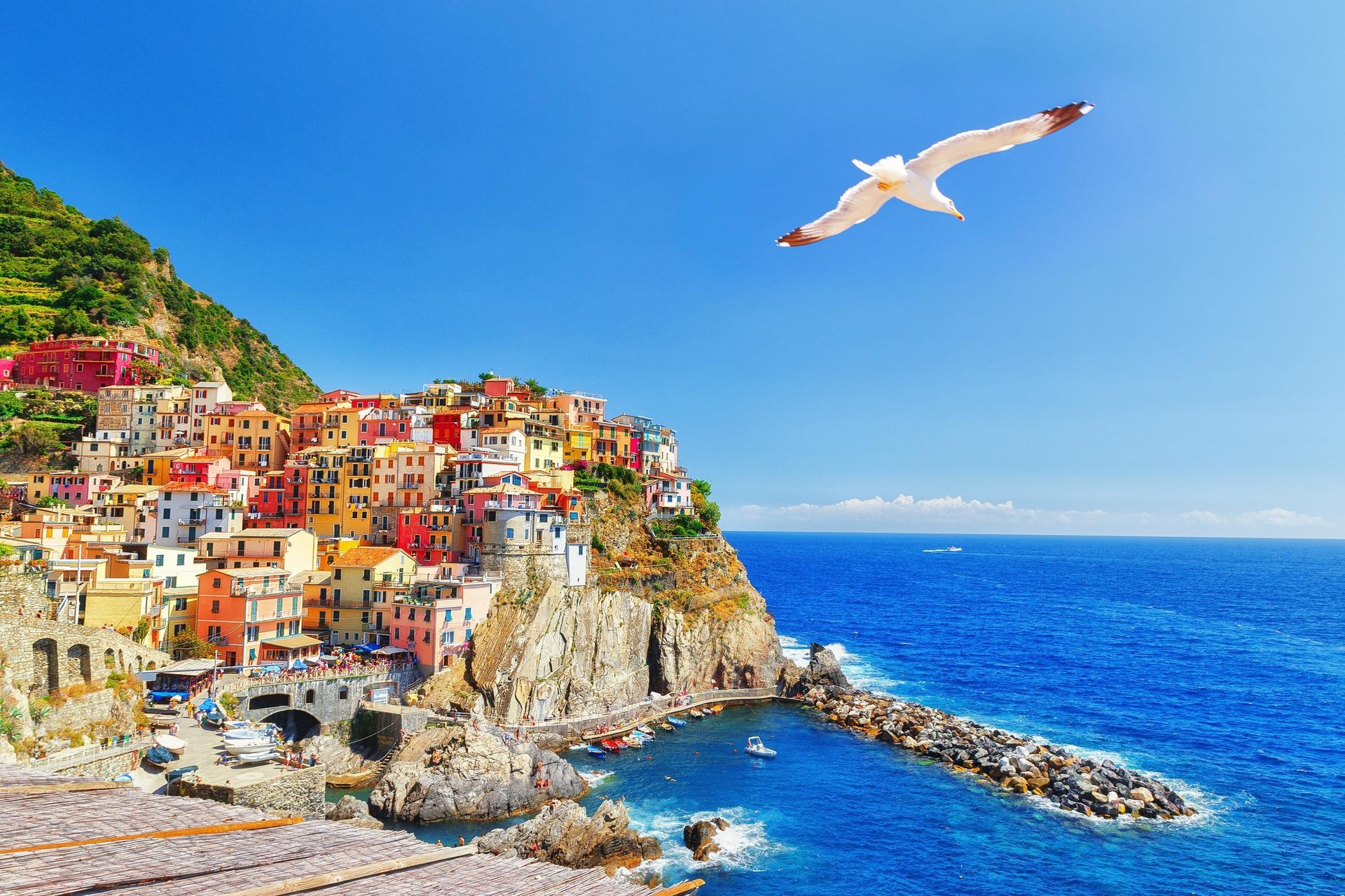 Privé wandelreis door de Cinque Terre en Portofino, foto 4