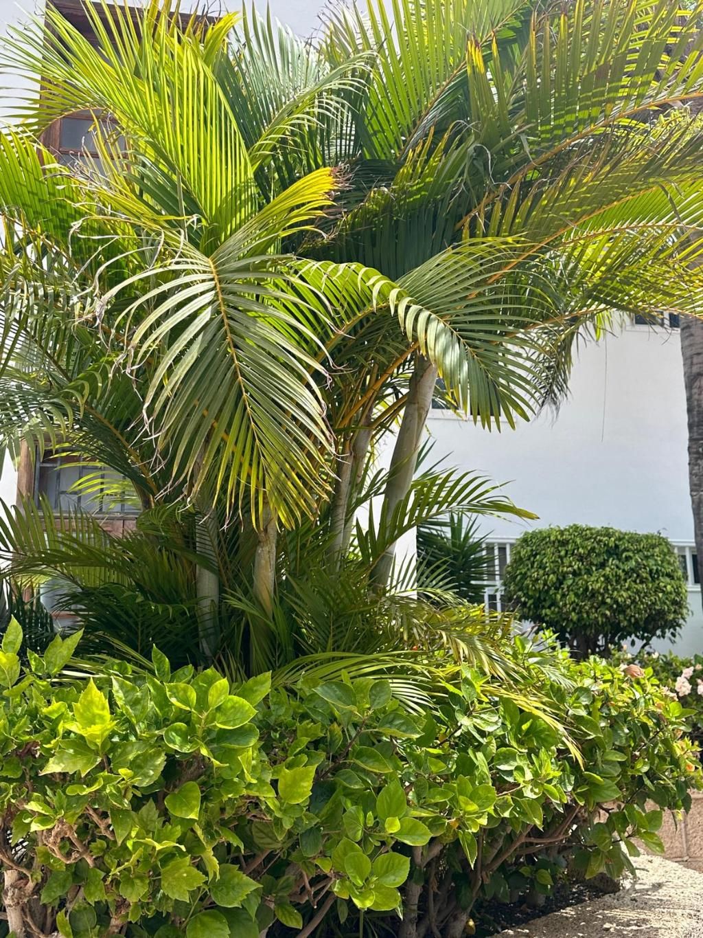 Hotel Malibu Park, foto 14