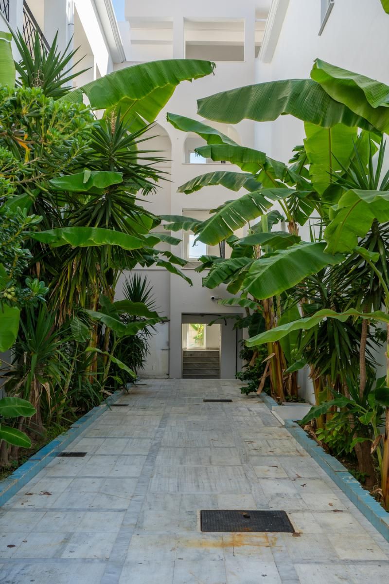 Mojo Hotel, foto 5