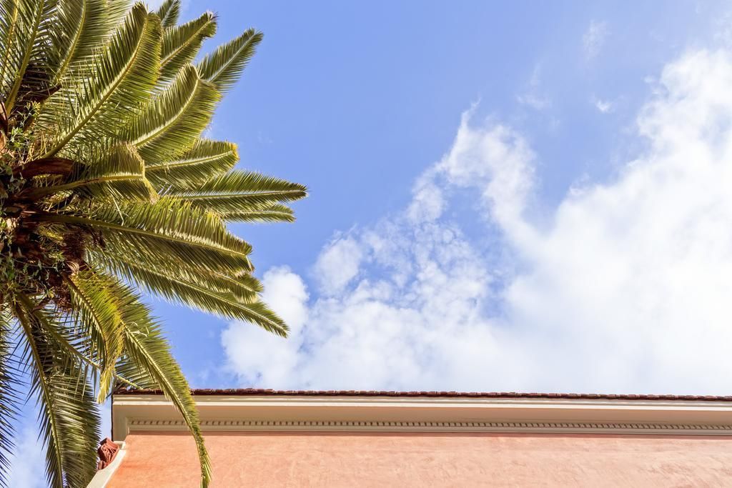 Nafsimedon Hotel, foto 10