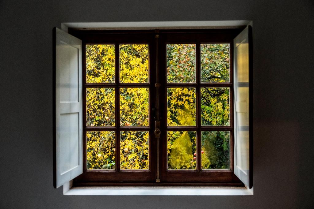 Solares de Portugal - Quinta Da Roseira, foto 15