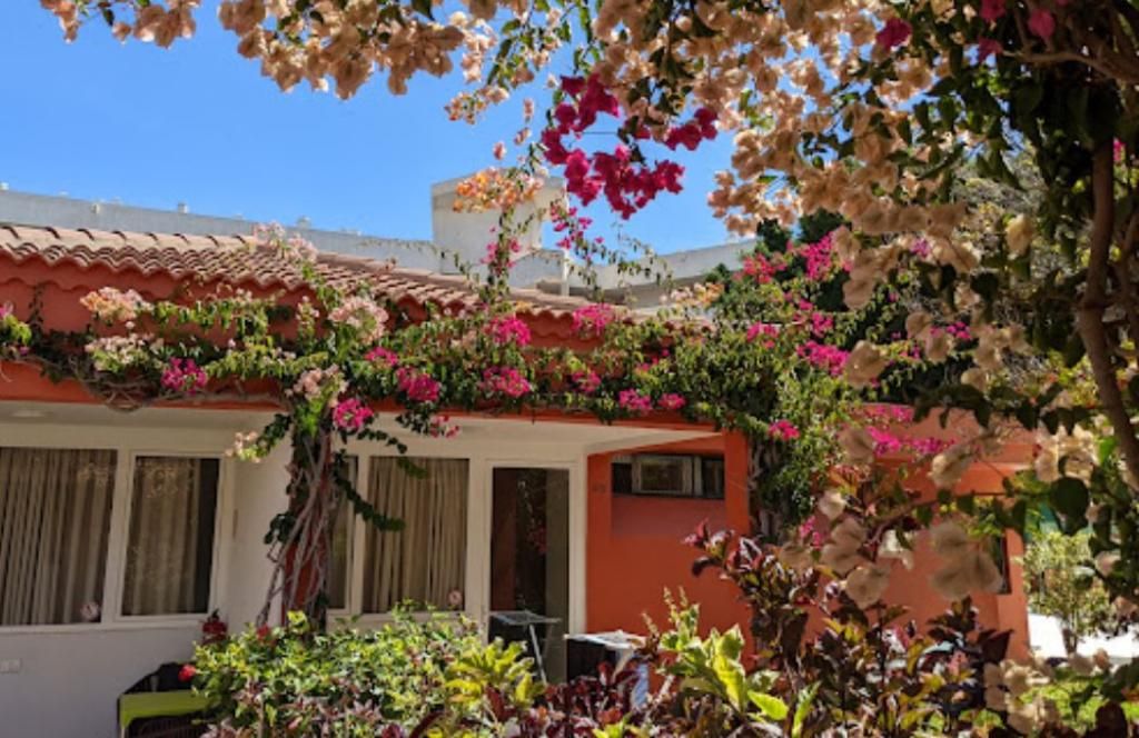 Bungalows Artemisa, foto 8