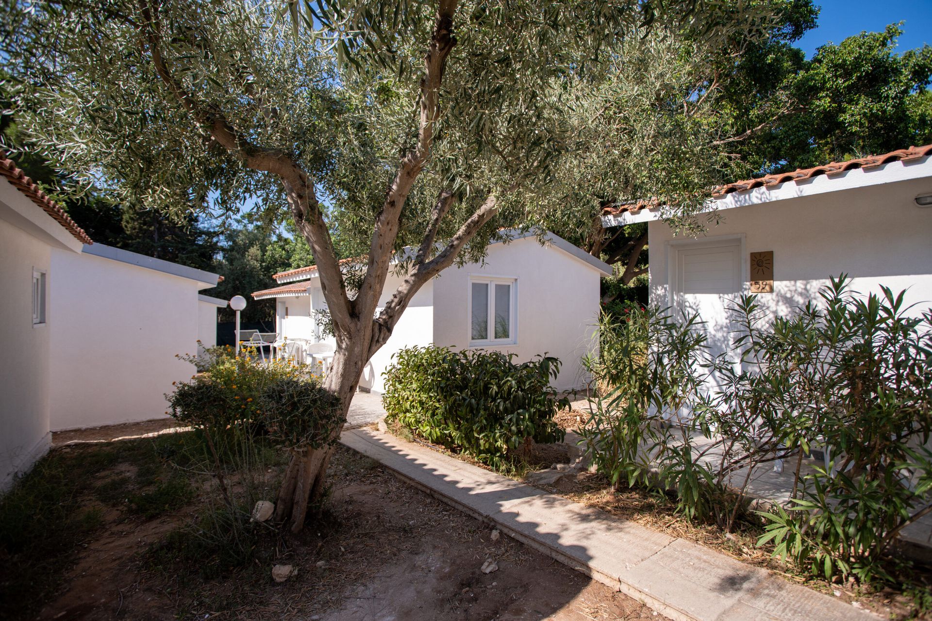 Hotel Baia Del Sole, foto 15
