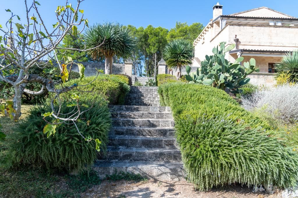 Masseria Caliani, foto 8