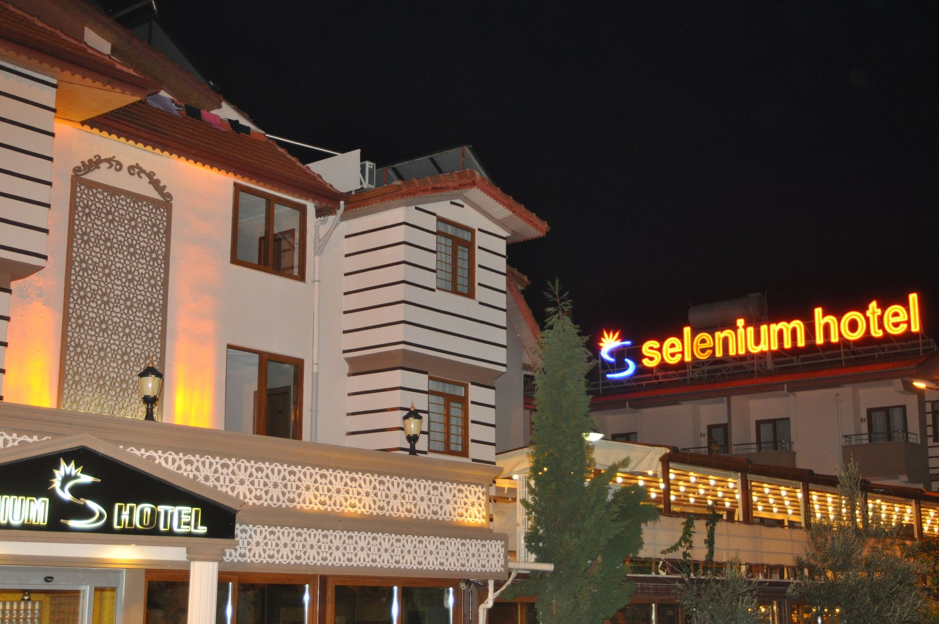 Selenium Hotel, foto 10