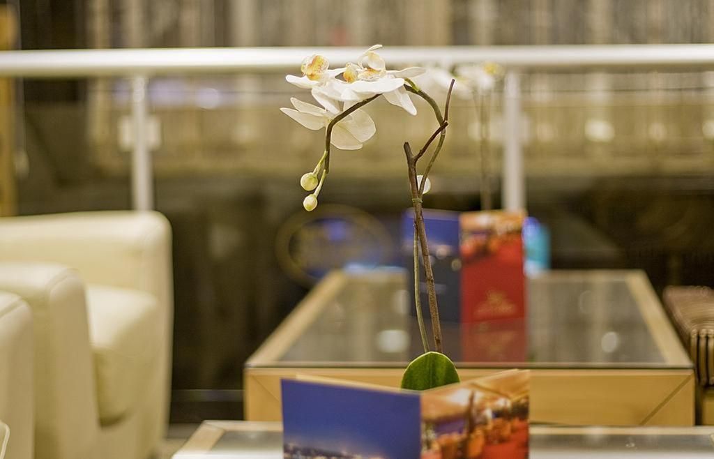 Park Star Hotel, foto 4