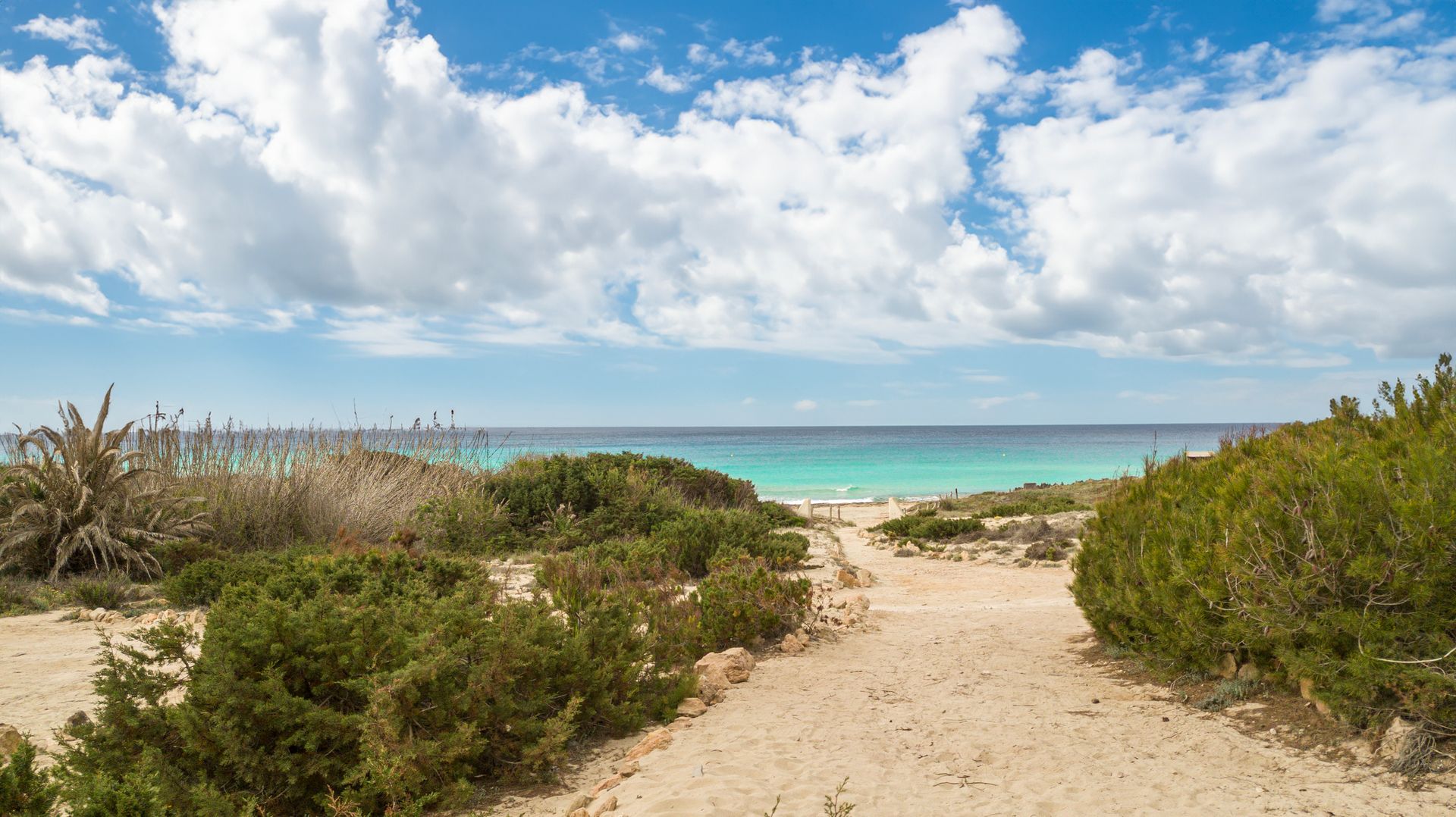 Dunas de Formentera, foto 7
