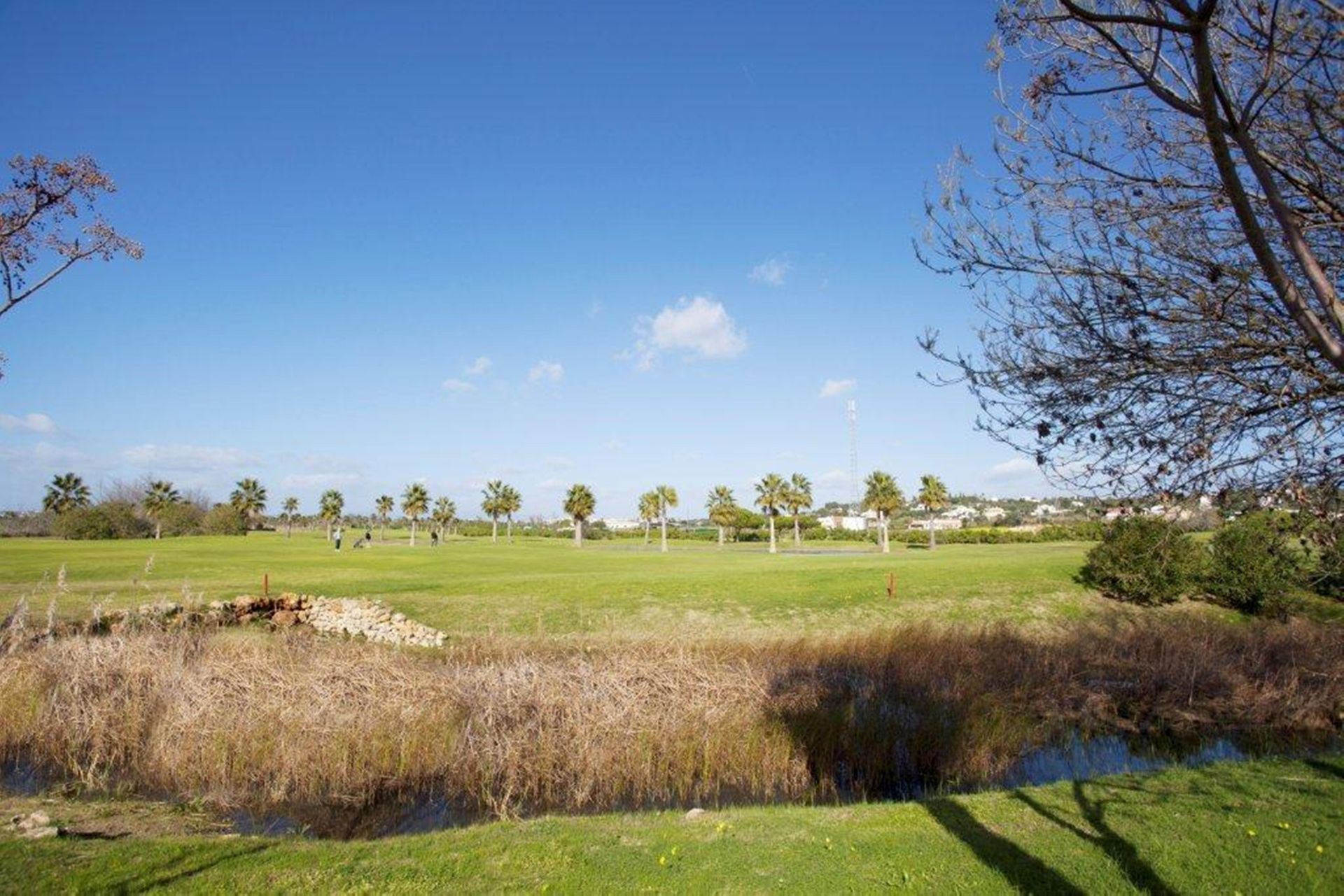 Bayside Salgados, foto 14
