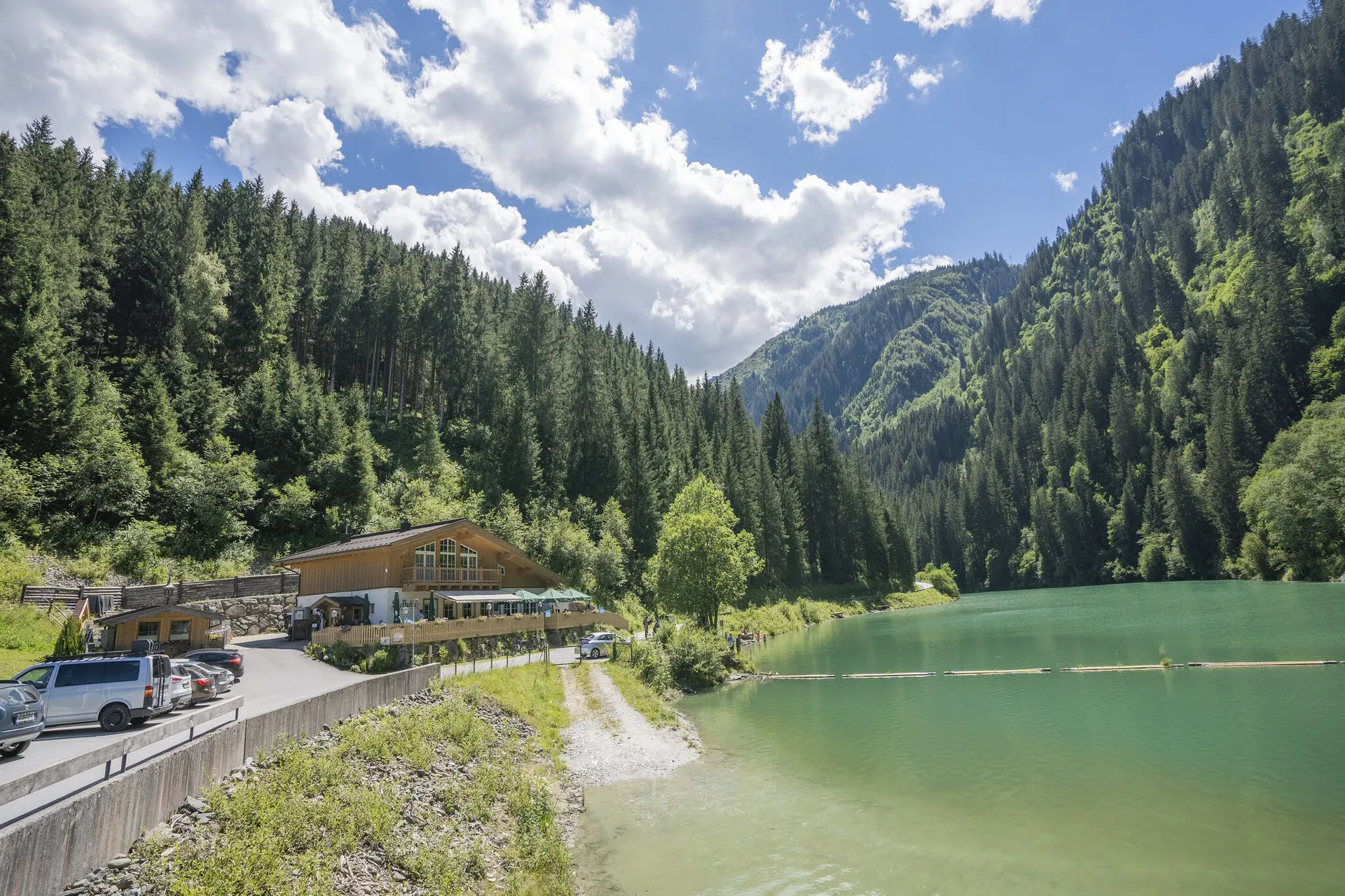 Directe omgeving (zomer) (<1 km)