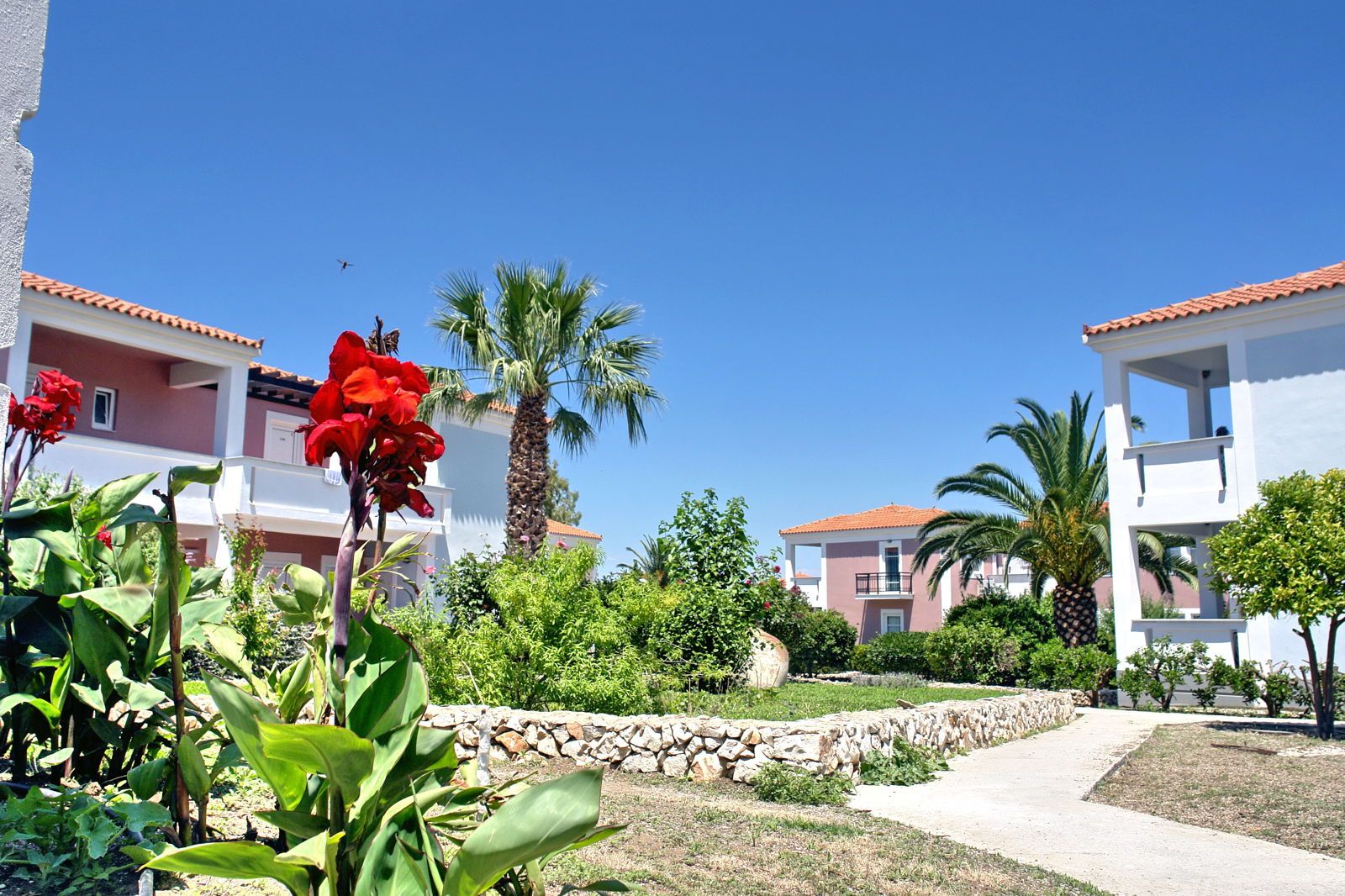 Panselinos Hotel, foto 7