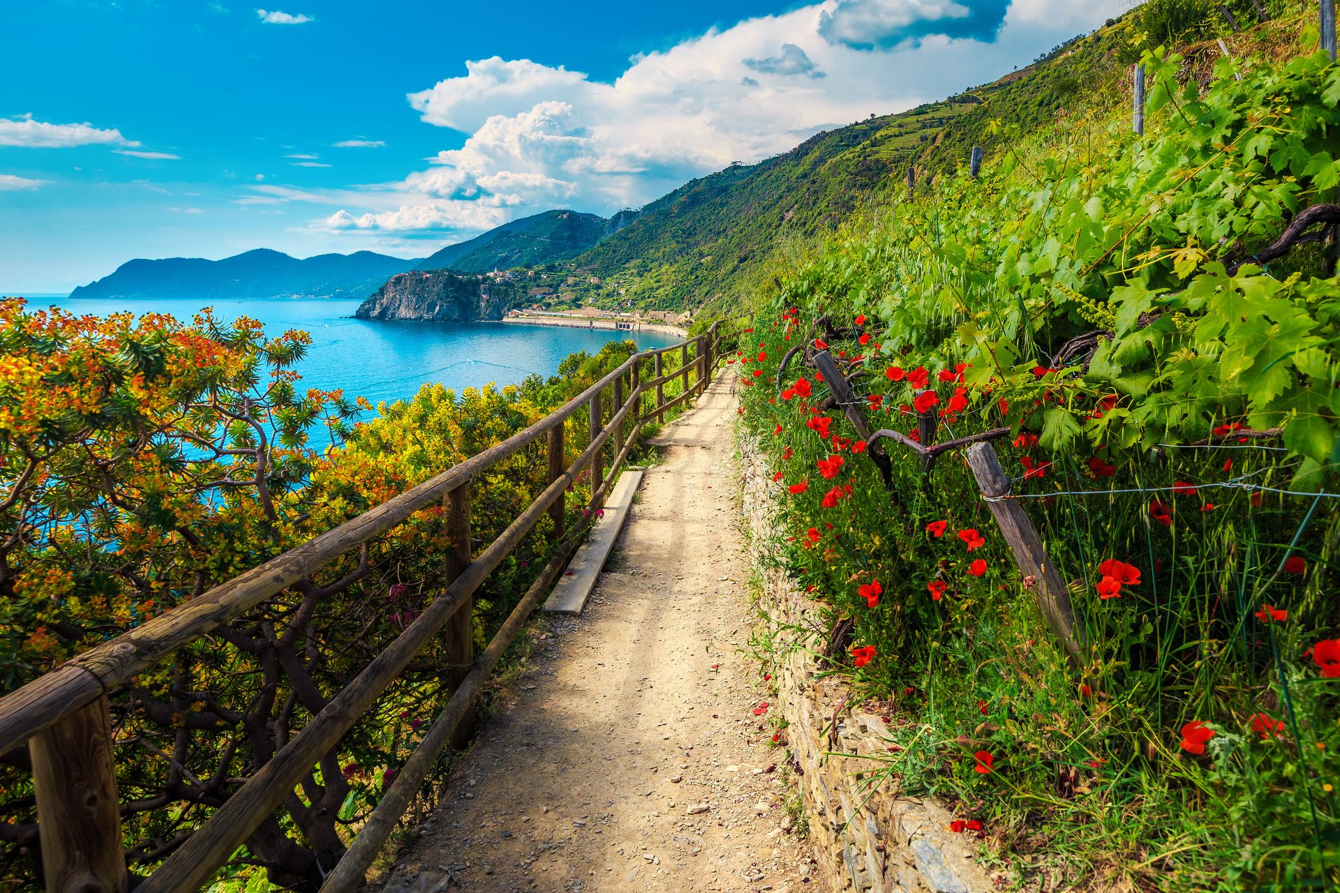 Ontdek Toscane en Cinque Terre, foto 11