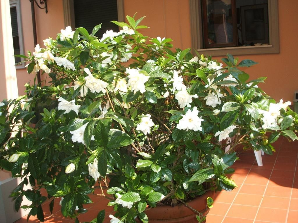 Astor Victoria, foto 2
