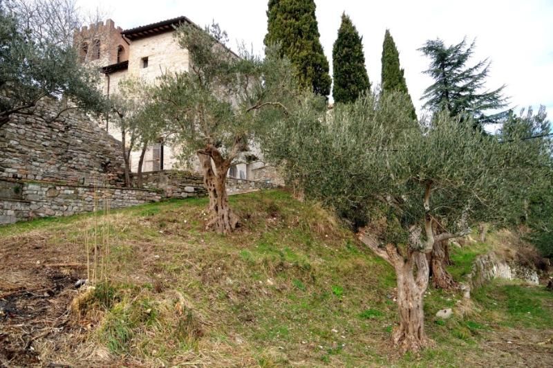 Domus Ecclesiae, foto 6