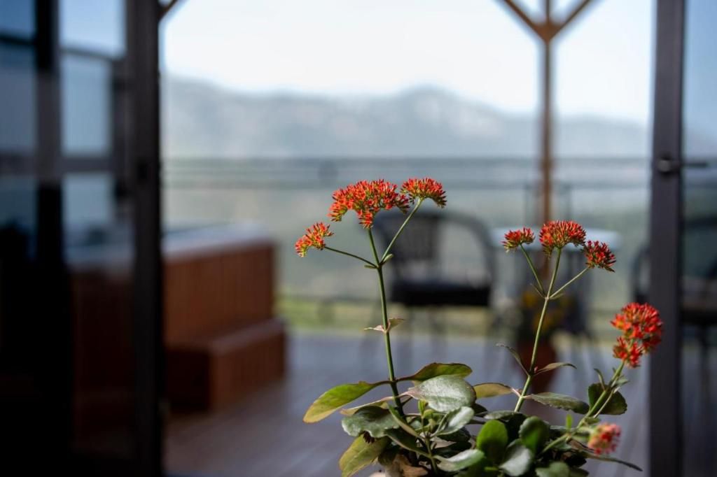 La Veranda Villas, foto 4