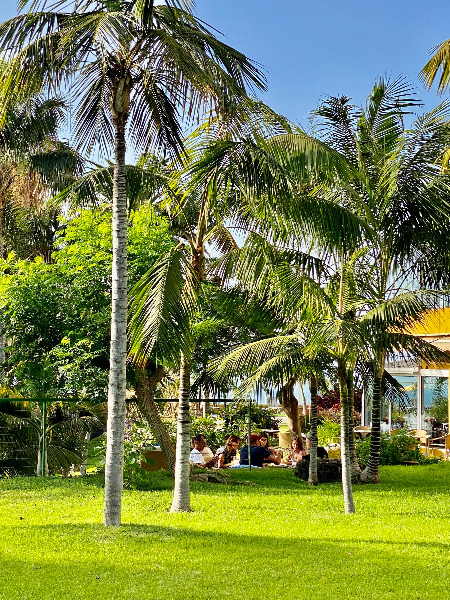 Hotel Tigaiga, foto 11