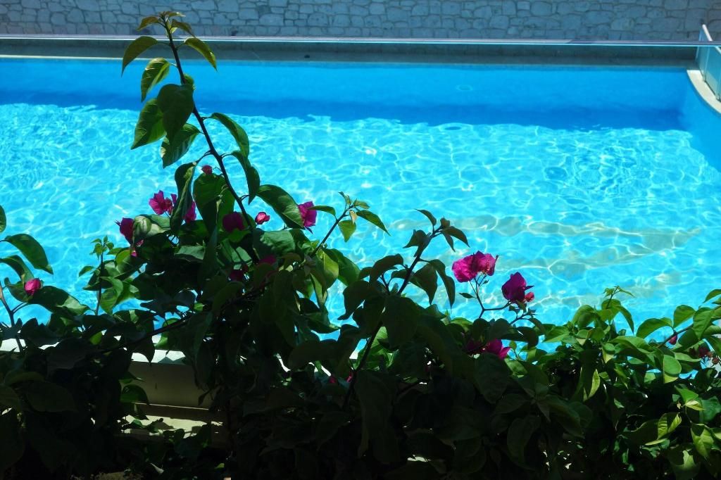 Zest Exclusive Hotel & Spa, foto 4