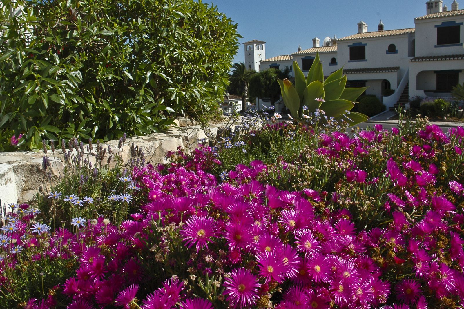 Hotel Turiquintas, foto 14