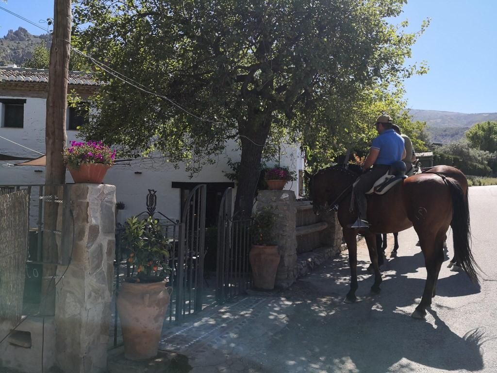 Alqueria De Los Lentos, foto 11