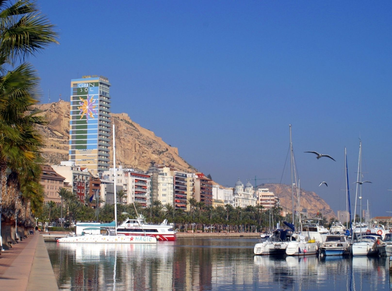 Hotel Alicante Gran Sol Affiliated by Meliá, foto 5