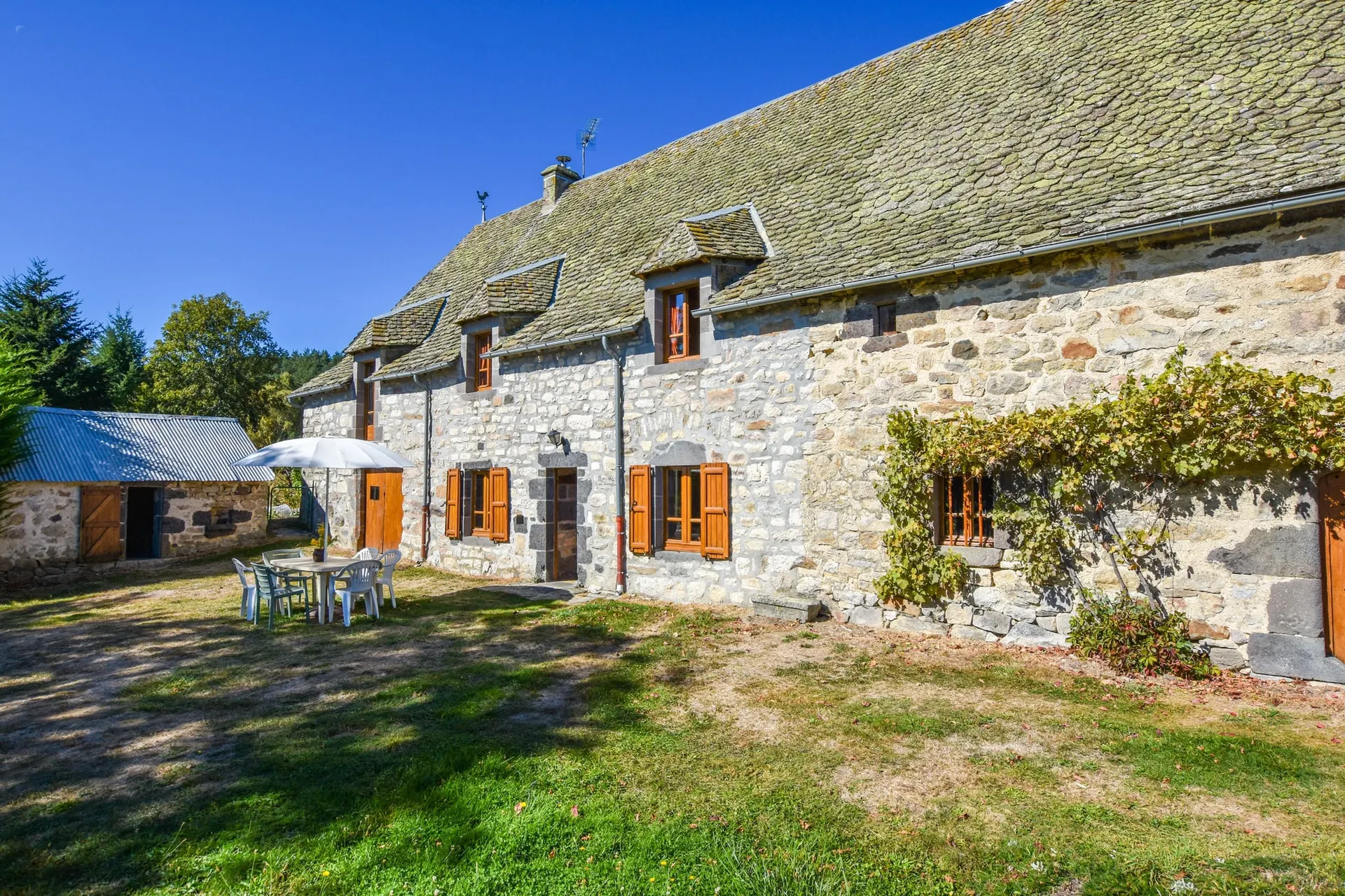 Exterieur vakantiehuis (zomer)