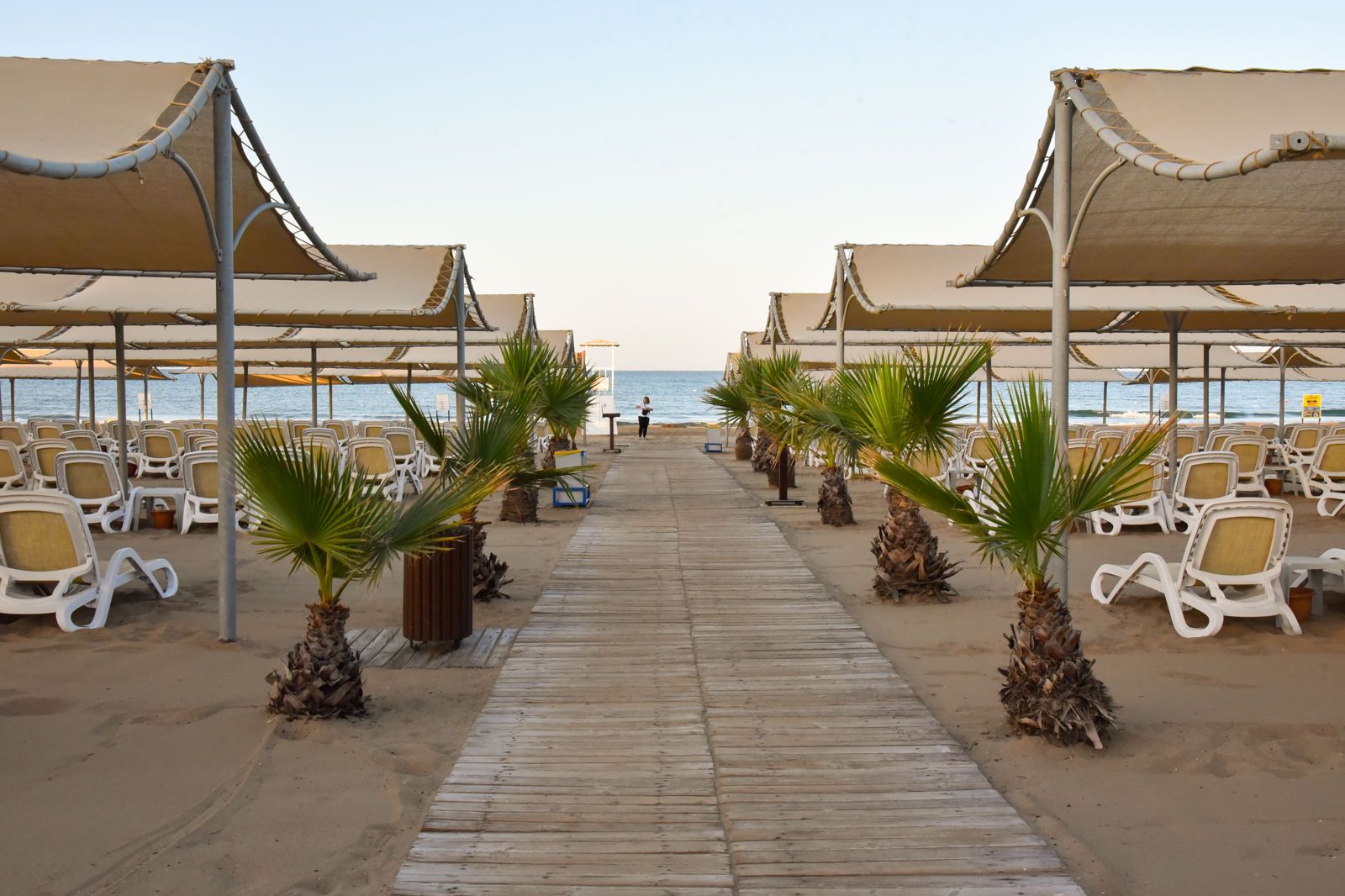 Royal Dragon Hotel, foto 12