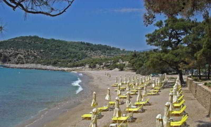 Royal Paradise Beach Resort & Spa, foto 13