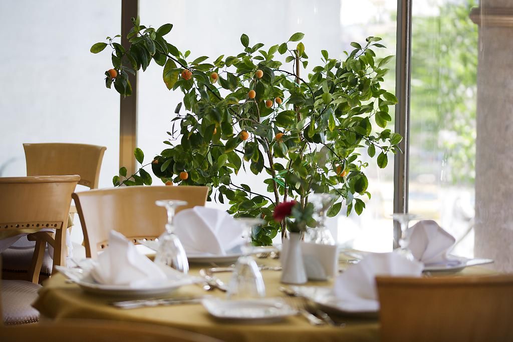 Hotel Bulvar Palas, foto 10