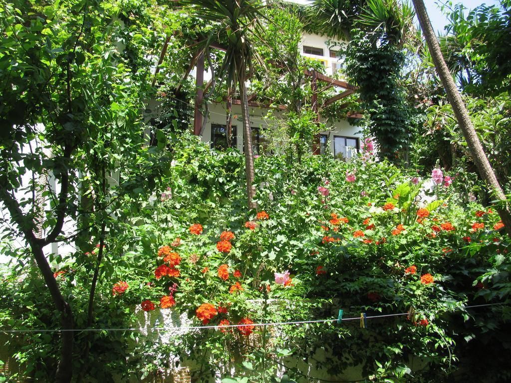 Aris Hotel, foto 13