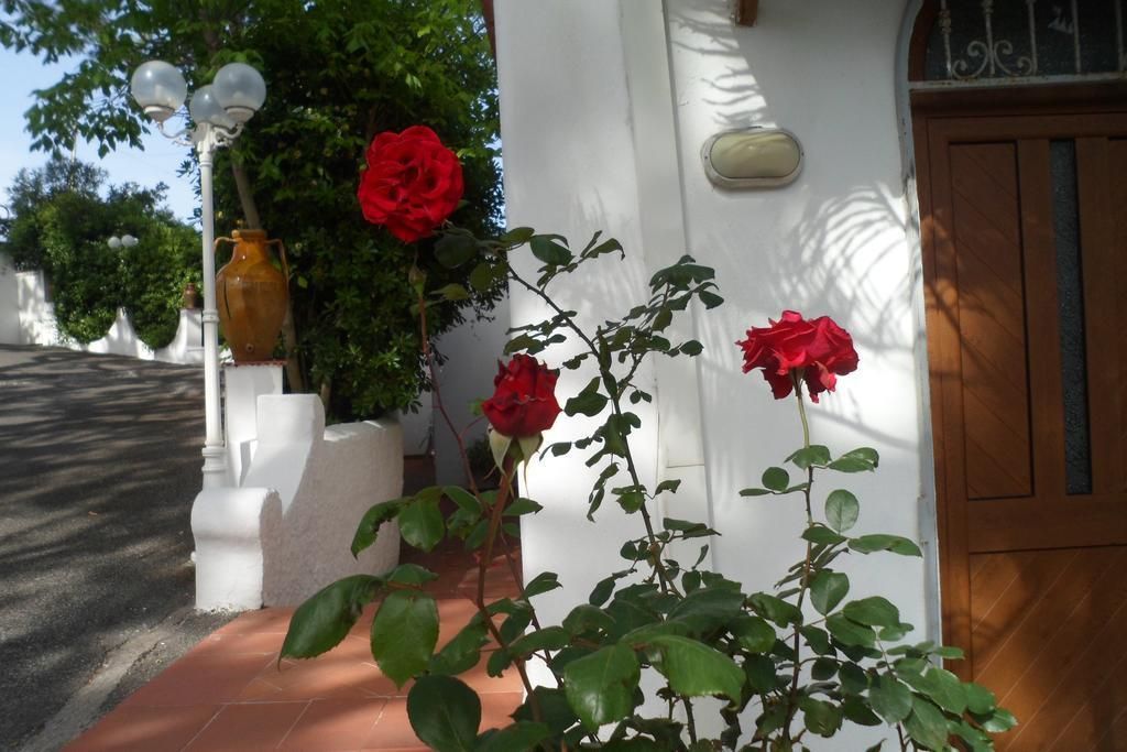 Hotel Park Calitto, foto 11