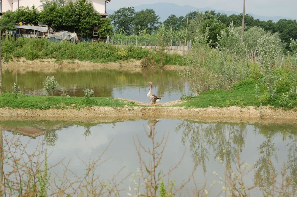 Azienda Agricola Musignano, foto 12
