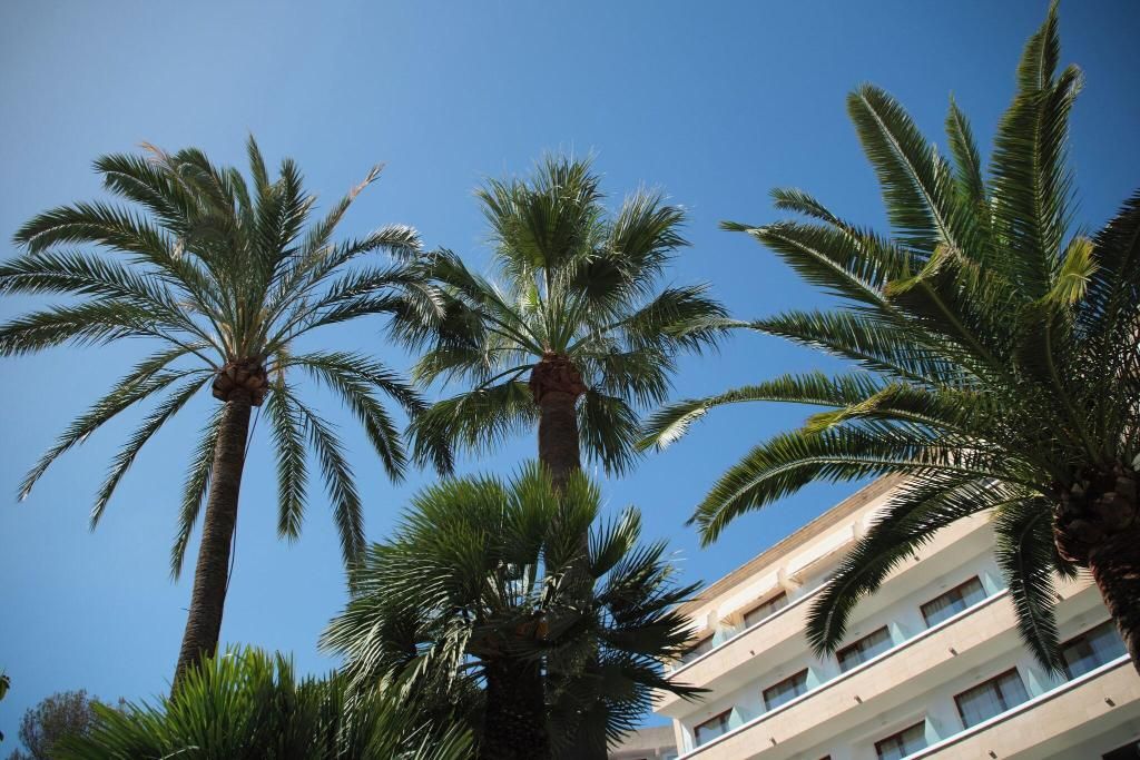 Hotel Son Caliu Spa Oasis, foto 12