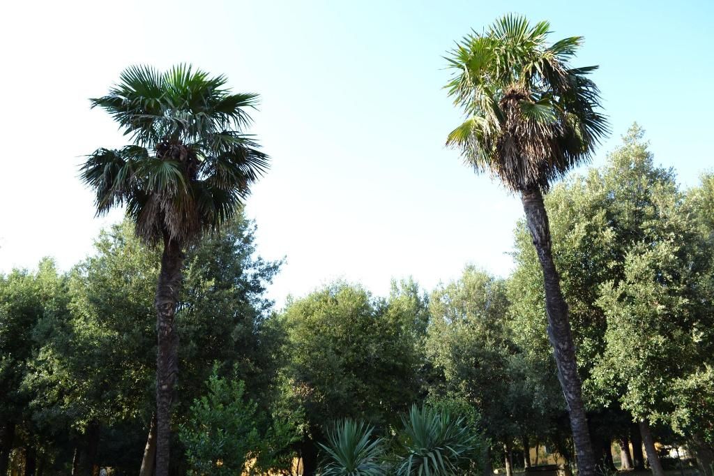 Agriturismo Villa Graziani, foto 8