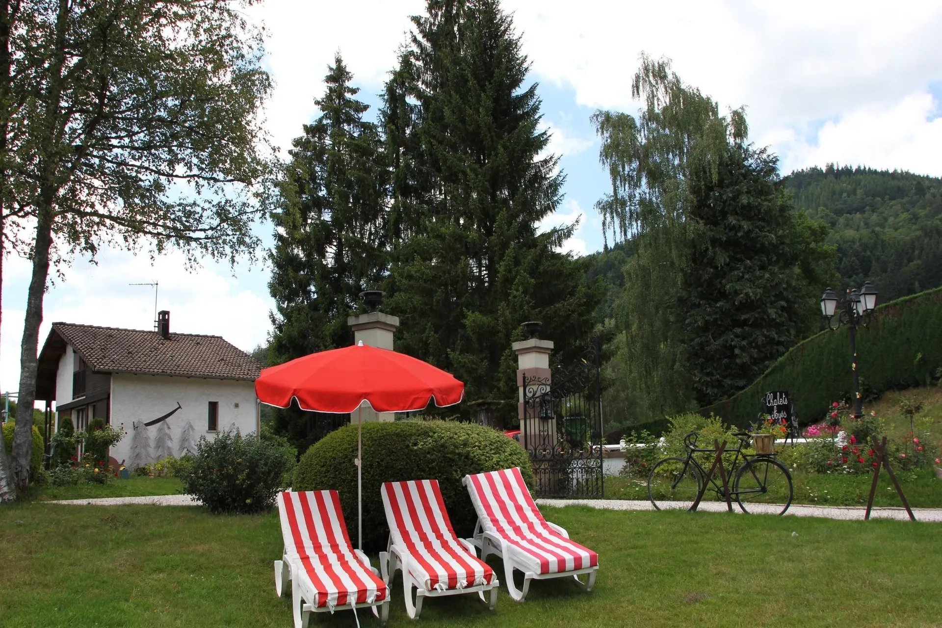 Tuin (zomer)