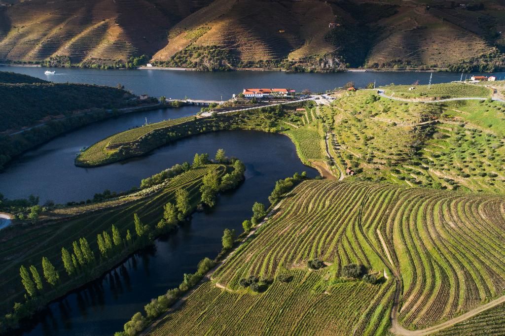 Vila Gale Douro Vineyards, foto 14