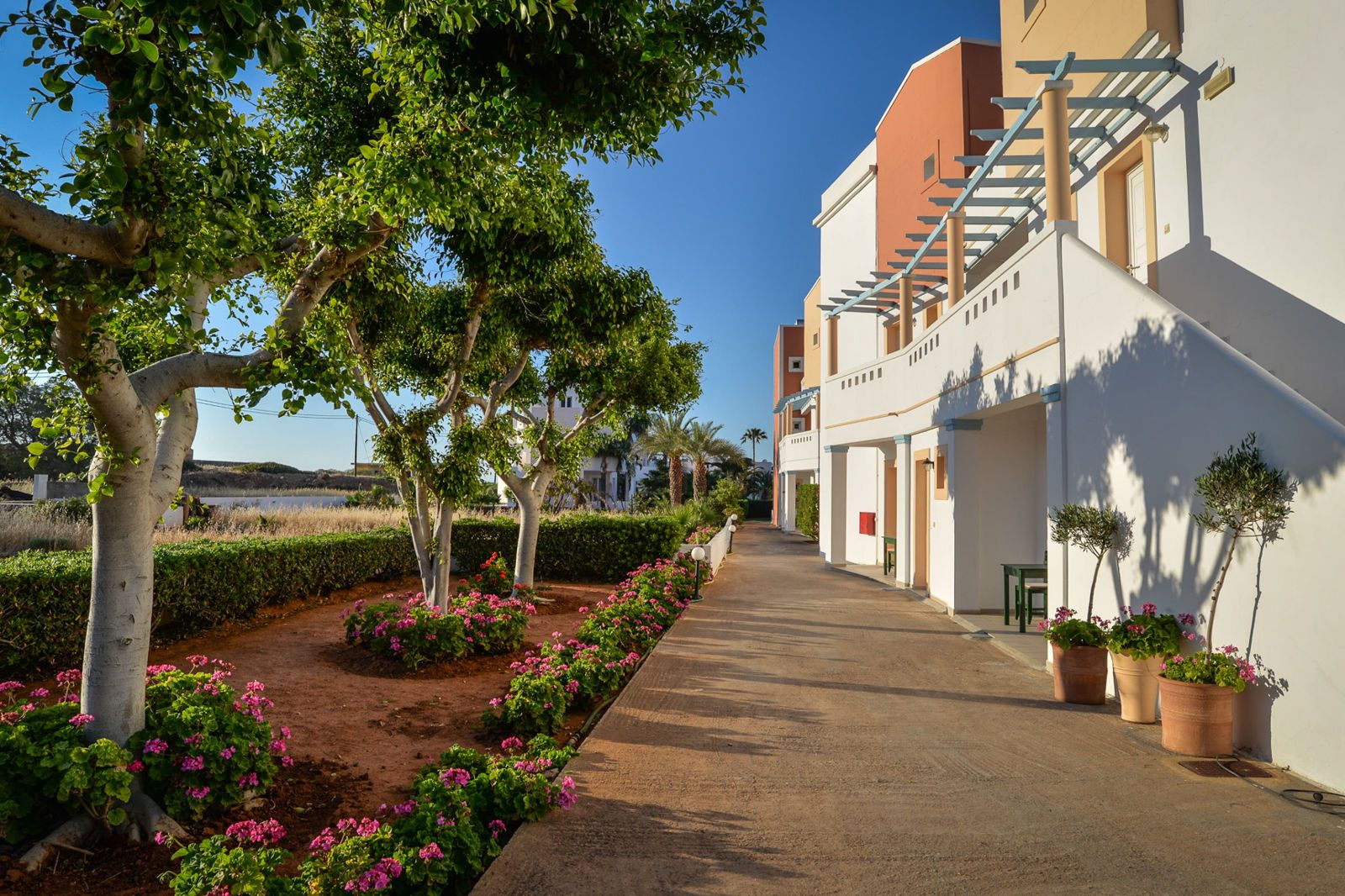 Windmill Apartments, foto 14