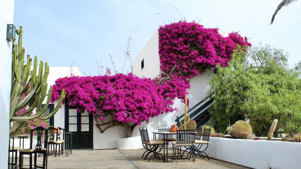 Hotel EL GRIFO, foto 4