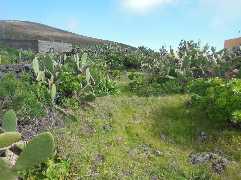 Casa Rural Aborigen Bimbache, foto 11