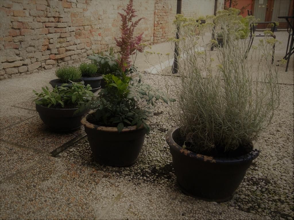 Hotel Relais Alcova Del Doge, foto 11