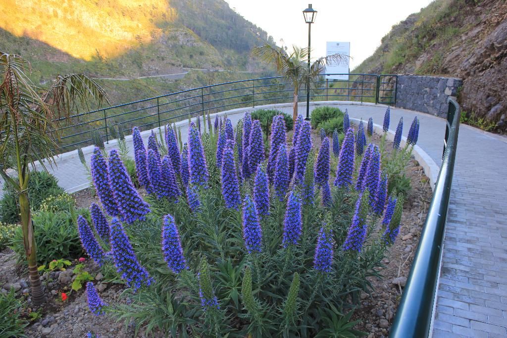 Eira do Serrado Hotel & Spa, foto 9