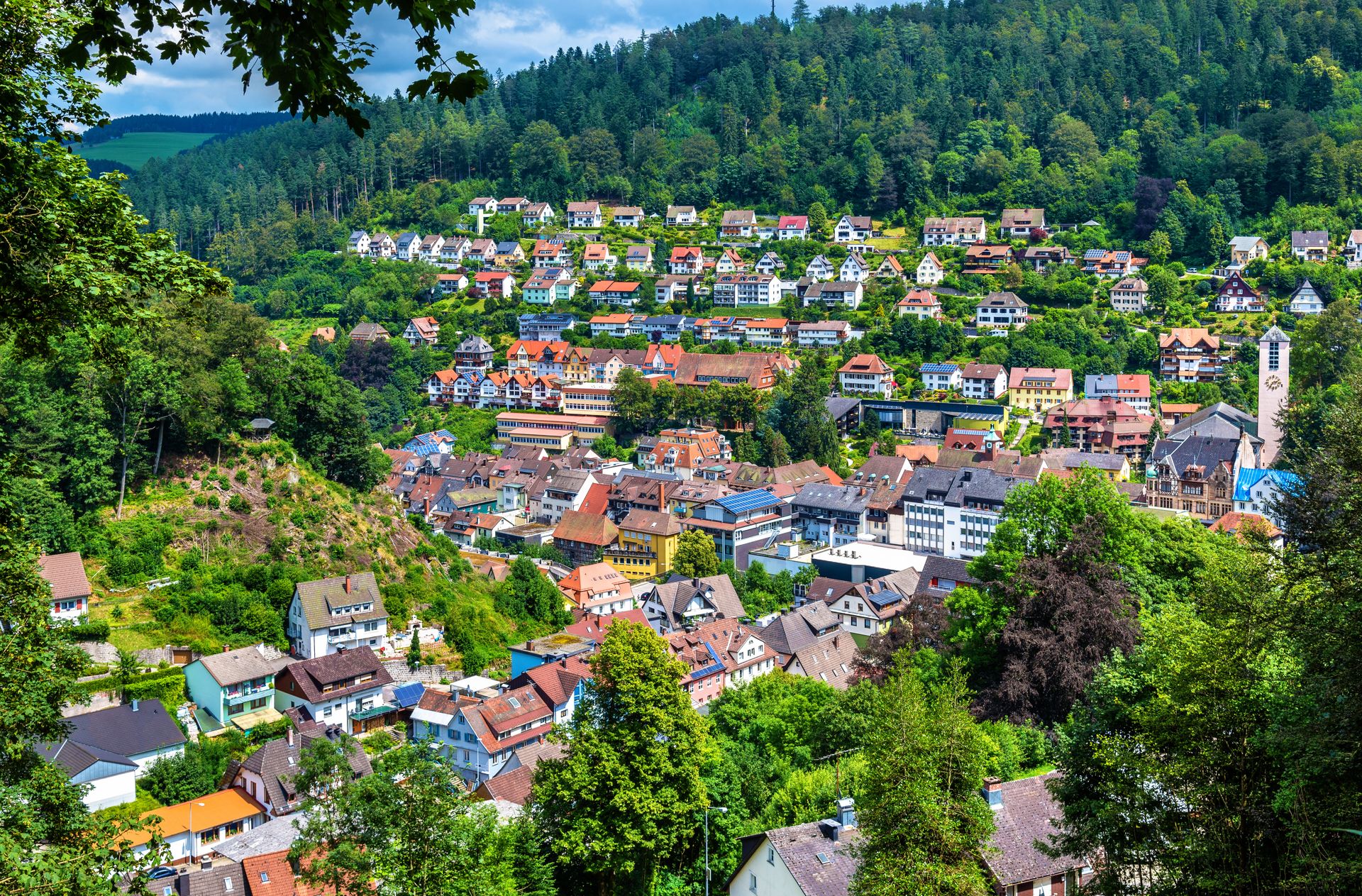 Zwarte Woud en de Elzas, Endingen, foto 10