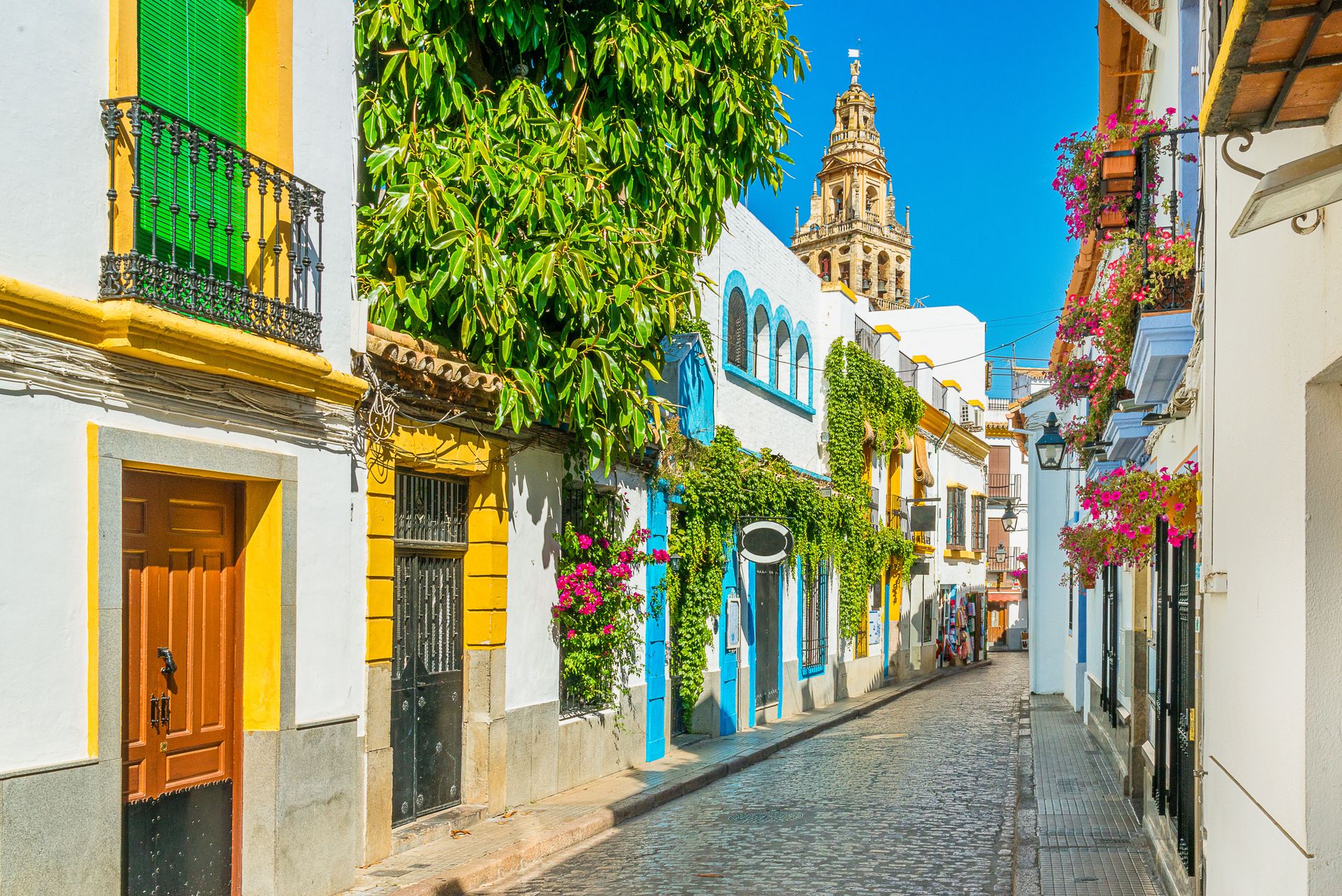 Ontdek de Andalusische steden per trein, foto 15