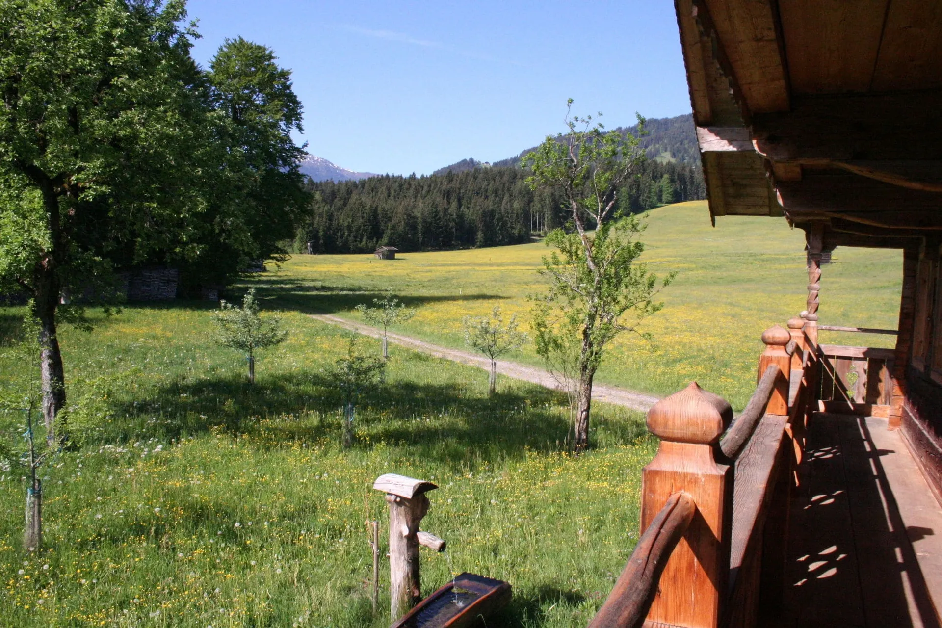 Vue de la maison de vacances (été)