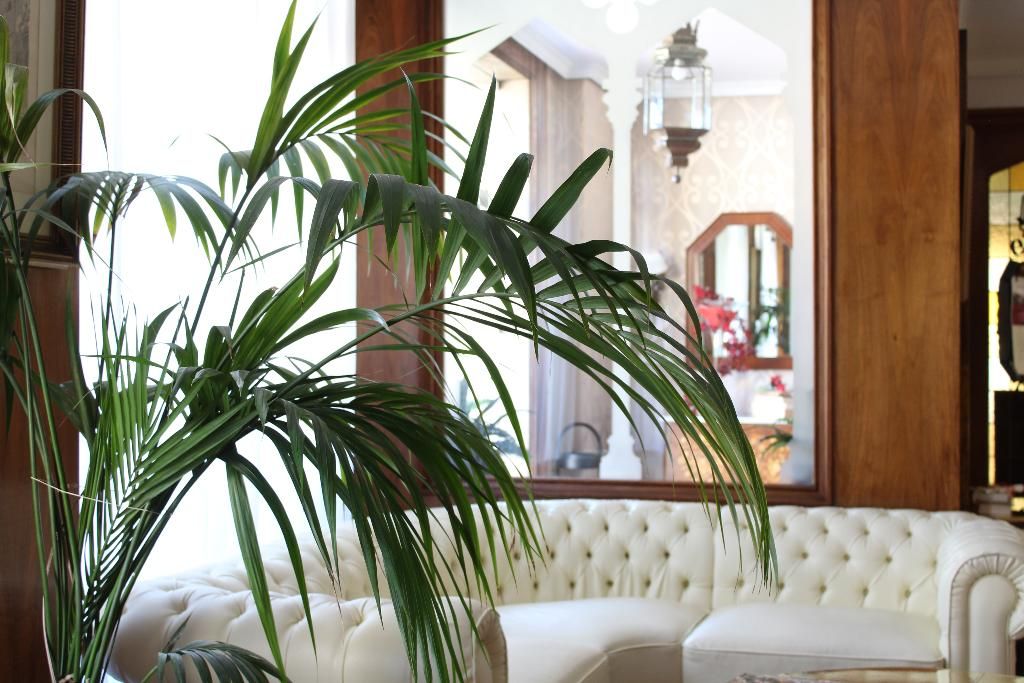 El Bedel, foto 6