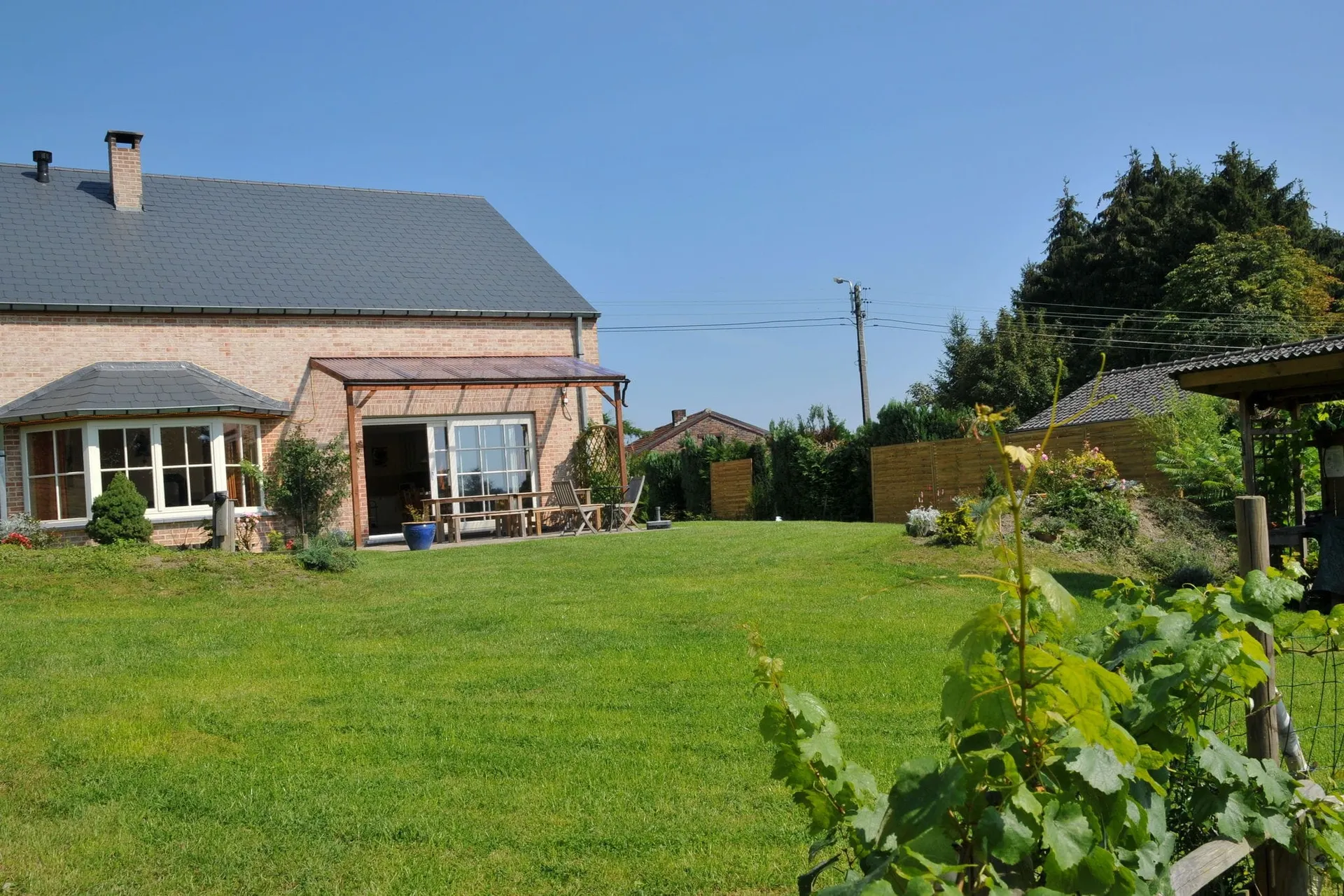 Jardin (été)