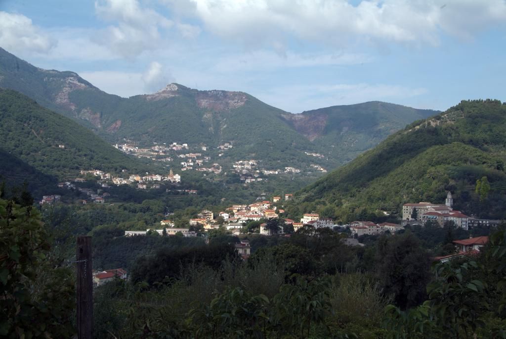 Tramonti Green, foto 12