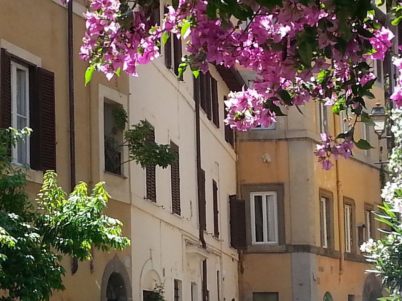 Ventisei Scalini A Trastevere, foto 3